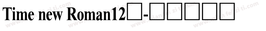 Time new Roman12号字体转换